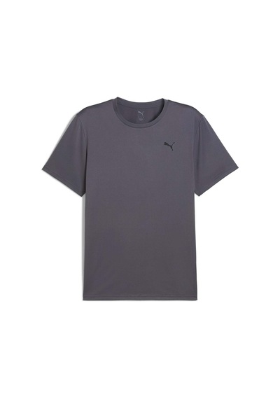 Puma Tad Ess Solid Cat Erkek Gri Antrenman T-shirt 52590869 Gri