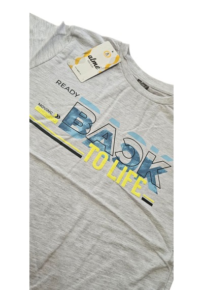 Almi Erkek Çocuk T-shirt Gri