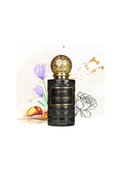 Loris Wild Horse Erkek Parfüm EDP 50 ML