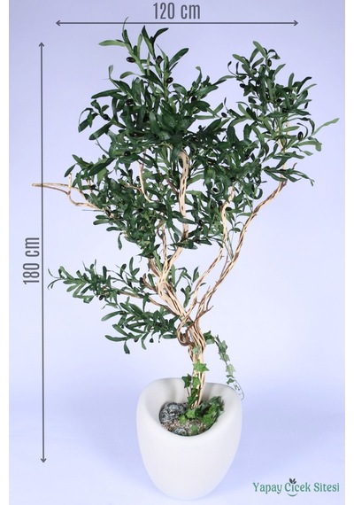 Yapay Çiçek Sitesi Fiber Saksıda Bonsai Gövdeli Premium Yapay Zeytin Ağacı 180 Cm Yeşil