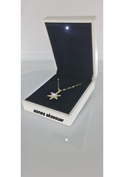 Işıklı Kutulu Kartanesi Çelik Kolye Gold