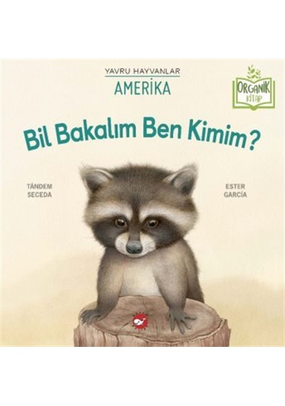 Bil Bakalım Ben Kimim / Amerika / Apryl Stott