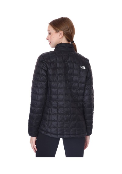 The North Face W Thermoball Eco Jacket 2.0 Erkek Ceket Nf0a5gldjk31 Siyah