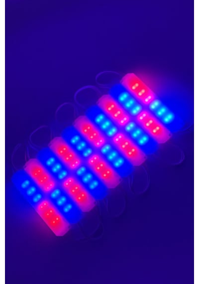 10 Adet 12v Kırmızı - Mavi Işık Animasyonlu Çakar Led, Kaliteli Red - Blue Modüler Led 10 Adet