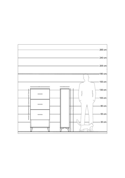 Arges Dolap 2 Raflı 2 Çekmeceli 60x30x134 Çam-çam Atlas Çam