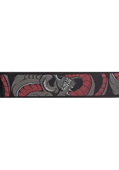 Planetwaves 50d02 Gitar Askısı Dokuma 50mm Strap-np Cranıum