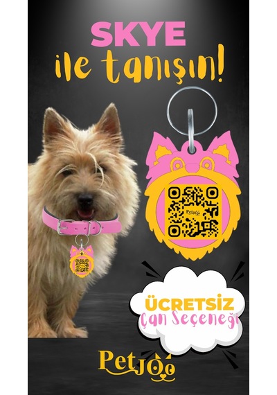 Petjoo 6.Skye Sarı-Pembe Qr'lı Köpek Künyesi