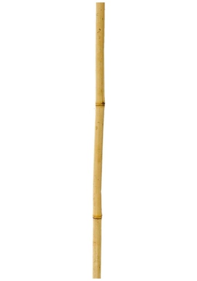Bambu Sopası 150 Cm 16 -18Mm Bambu Çubuğu 5 Adet