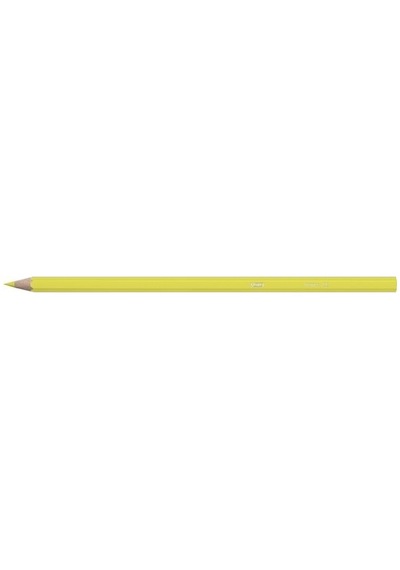 Bic Kids Tropicolors Kuru Boya Kalemi 12 Renk Diğer