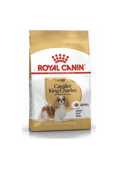 Cavalier King Charles Adult Yetişkin Köpek Maması 3 Kg