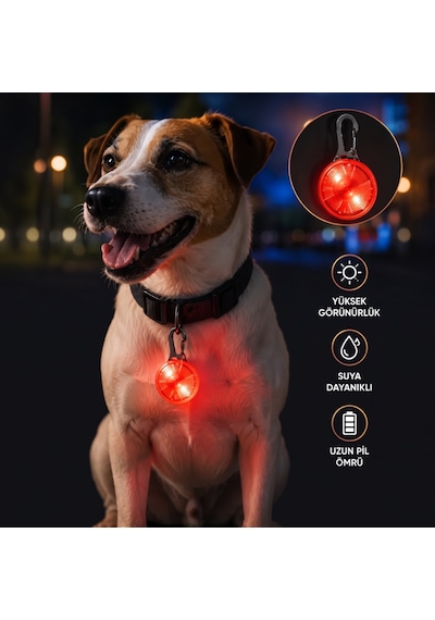Zvnm Evcil Hayvan Işıklı Led Tasma Aparatı - Suya Dayanıklı - Uzun Pil Ömrü Zcv12