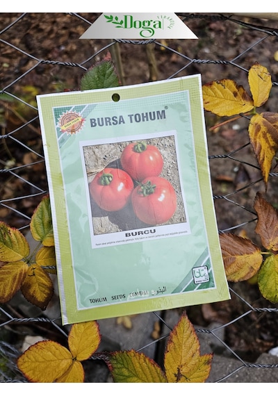 Burcu Domates Tohumu