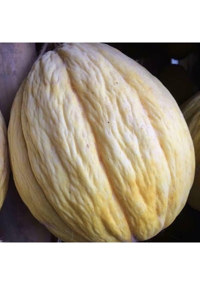 Kavun Taze Kırkağaç 3 5 Kg