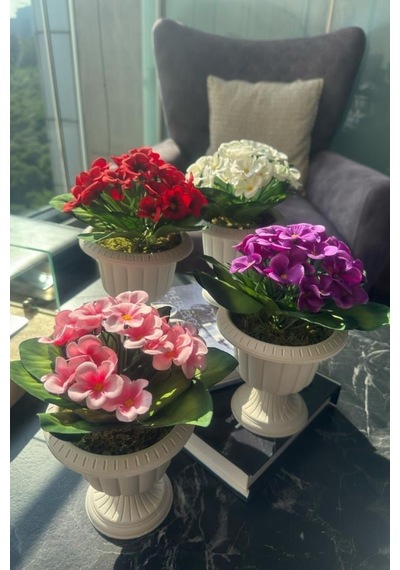 4lü Set Yapay Çiçek Krem Antik Saksıda Karışık Renk Kadife Menekşe Gerçekçi Doku 22cm