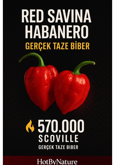 Red Savina Habanero Pepper 350.000 570.000 Scoville - Gerçek Taze Acı Biber