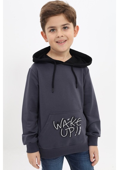 Toontoy Kids Toontoy Erkek Çocuk Relax Fit Kapüşonlu Cepli Renk Bloklu Baskılı Sweatshirt - 2 İplik Füme