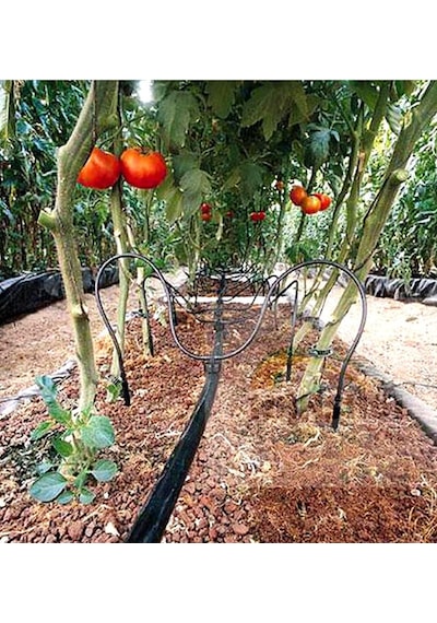 Cocopeat Ve Saksı Sulama Mikro Ok Aparat Seti X10 Ad