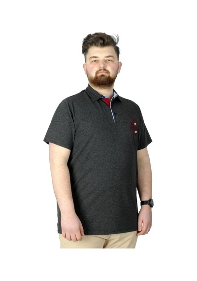 Mode Xl Erkek T-Shirt Polo Florida 22303 Antrasit 001