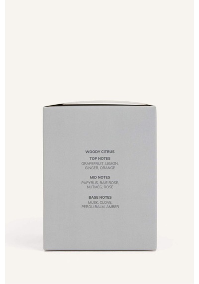 Defacto Erkek 100 ml Echo Valley Parfüm H0873AXNS