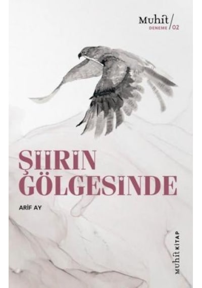 Şiirin Gölgesinde - Arif Ay - Muhit Kitap