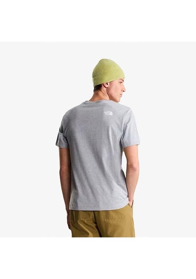 The North Face Evolution Half Dome Erkek Gri Tişört