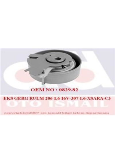 INA 531047810 TRİGER EKSANTRİK GERGİ RULMANI 206 307 1.6 16V TU5J