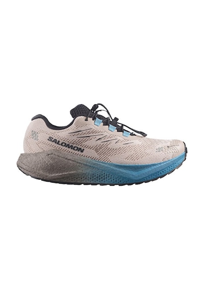 Salomon Aero Blaze 4 Grvl Gtx Erkek Outdoor Koşu Ayakkabısı L45403300 Bej