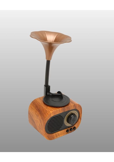 Northcity Mini Nostaljik Bluetooth Hoparlör Fm Radyo - Yeni Nesil