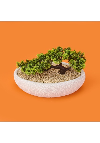 Desenli Elips Saksıda Bonsai - Renkli - 24x33 Cm