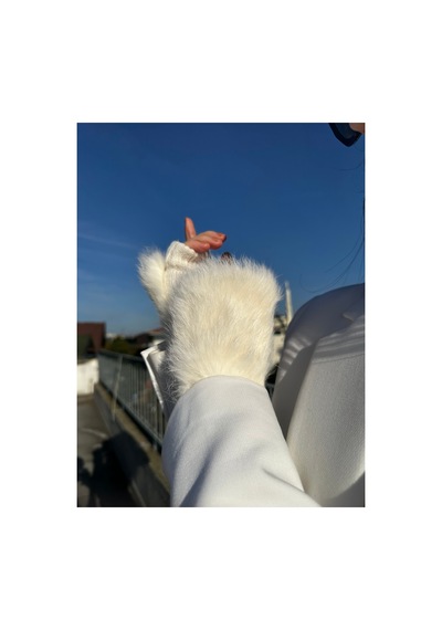 Mollycrush Kadın Peluş Detaylı Yarım Parmak Kışlık Eldiven Sıcak Tutarlı Şık Tasarım Beyaz Mollycrush Kadın Peluş Detaylı Yarım Parmak Kışlık Eldiven Sıcak Tutarlı Şık Tasarım Beyaz