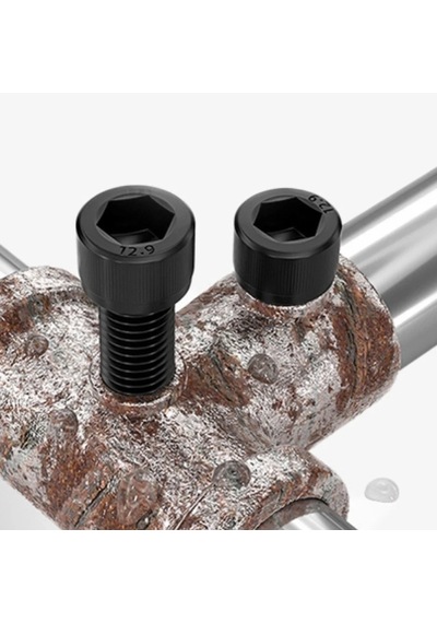 İmbus M12x20mm Cıvata Siyah Alyan Başlı Dın912 10 Adet Diğer