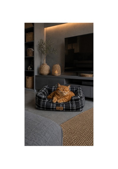 Premium Kedi Ve Köpek Yatağı Kafa Destekli Kaydırmaz Taban Yıkanabilir Fermuarlı Minder %100 Boncuk Elyaf Siyah 1605464301 Premium Kedi Ve Köpek Yatağı Kafa Destekli Kaydırmaz Taban Yıkanabilir Fermuarlı Minder %100 Boncuk Elyaf Siyah 1605464301