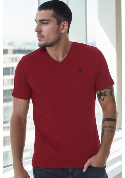 T8568 Dewberry V Yaka Erkek T-shırt-bordo-1