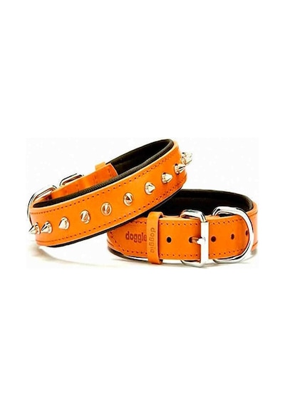 Doggie Çivili Deri Köpek Boyun Tasması Camel Sbt-3012 Kahverengi