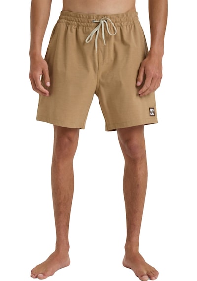 Bıllabong Billabong Every Other Day Lb Erkek Kahverengi Volley Short 18178 Kahve
