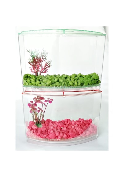 Bölmeli Izgaralı Betta Beta Kabı Tankı Akvaryum 1800 Ml - 19x8x13 Cm Yeşil