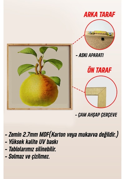 Ahşap Çerçeveli Mdf Kare Tek Tablo Kendi Tablo Setinizi Oluşturacağınız Liste Mutfak 23 X 23 Çerçeveli Tx1064 Ahşap Çerçeveli Mdf Kare Tek Tablo Kendi Tablo Setinizi Oluşturacağınız Liste Mutfak 23 X 23 Çerçeveli Tx1064