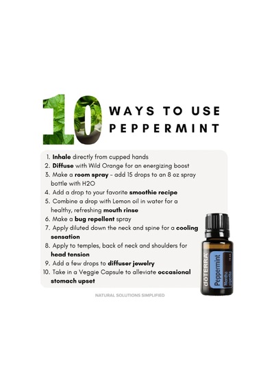 Peppermint Oil - Nane Yağı