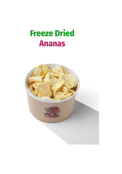 Freeze Dried Ananas Dondurularak Kurutulmuş Meyve Cipsi 50 G