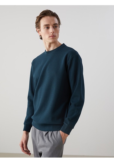 Lcw Vision Petrol Bisiklet Yaka Uzun Kollu Erkek Sweatshirt