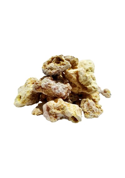 Çam Sakızı 100gr