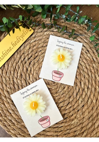 Bernami Vazo Pinterest 10 Adet Kartlı Papatya Mum 8 Mart Dünya Kadınlar Günü Diğer