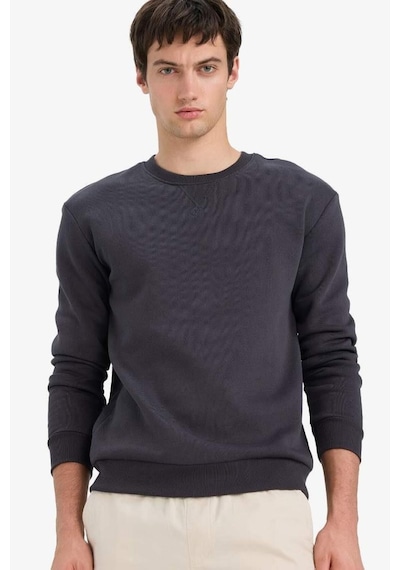 Defacto Regular Fit Bisiklet Yaka Basic Düz Kalın Sweatshirt T3777az25auar138 Antrasit