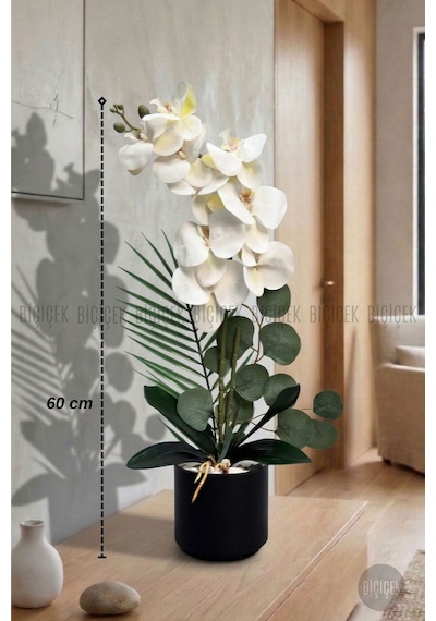 Yapay Phalaenopsi S Beyaz Orki De 60 Cm Siyah