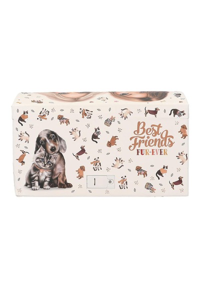 Topmodel By Depesche Fur Ever Friends Şifreli Ve Müzikli Takı Kutusu - Taylor Swift Şarkılı