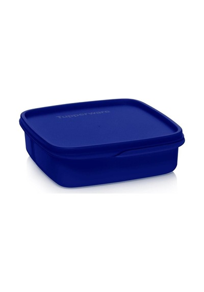 Eco 2li 550 Ml Bölmeli Beslenme Set Mavi