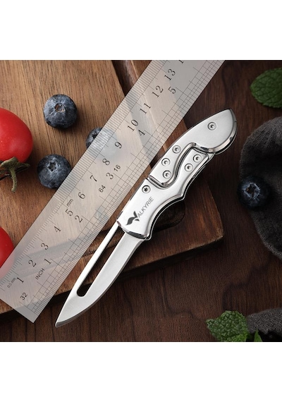 Valkyrie Paslanmaz Çelik Katlanır Bıçak Kompakt Cep Çakısı Outdoor Kamp Edc Katlanır Çakı Gümüş