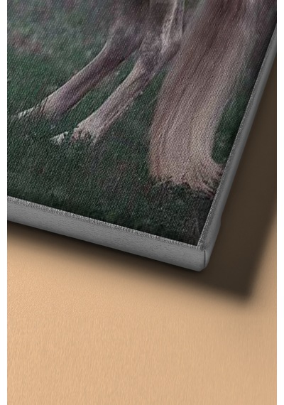 Webstyle Sayılarla Boyama Seti Kasnaklı Balerin Ve Beyaz At 60 X 75 Cm