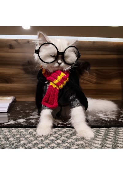 Kedi Ve Köpek İçin Harry Potter Kostümü Cüppe, Kazak, Kaşkol Ve Gözlük Takım