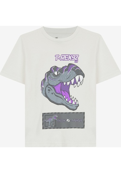 Skechers Graphic Tee B Short Sleeve Büyük Erkek Çocuk Beyaz Tshirt Sk241093-102